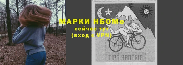 СК Алексин