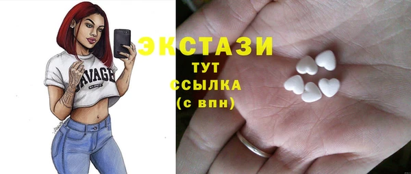СК Алексин