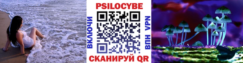 Галлюциногенные грибы мицелий где купить Арамиль